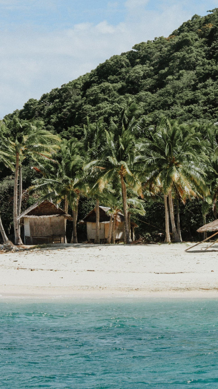 750x1334  Download 750x1334 обои природа пальмовый пляж остров филиппины iphone 7 iphone 8 750x1334 hd изображение фон 17649