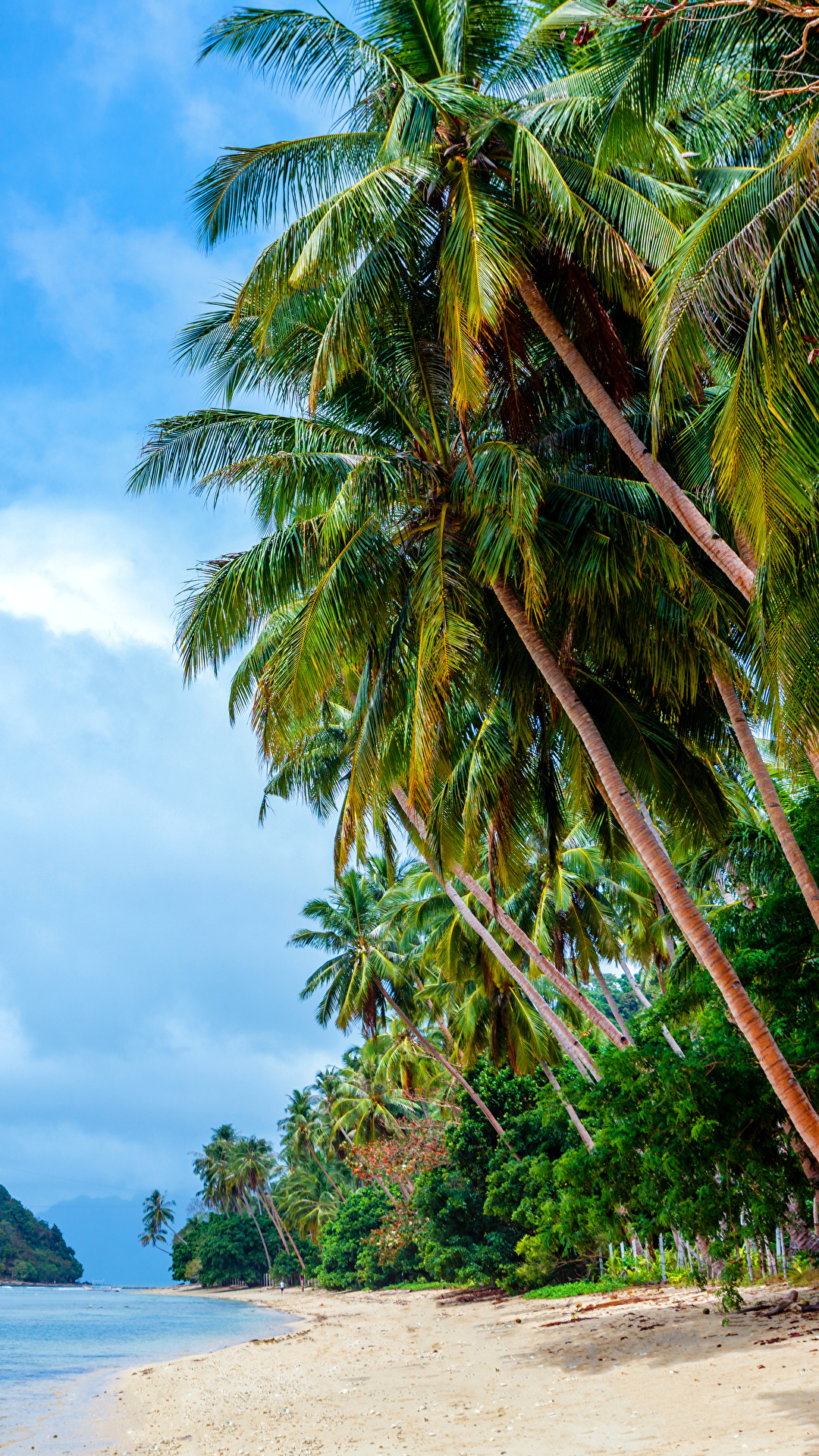 1080x1920  Pictures филиппинские пляжи природа небо пальмы тропики 1080x1920