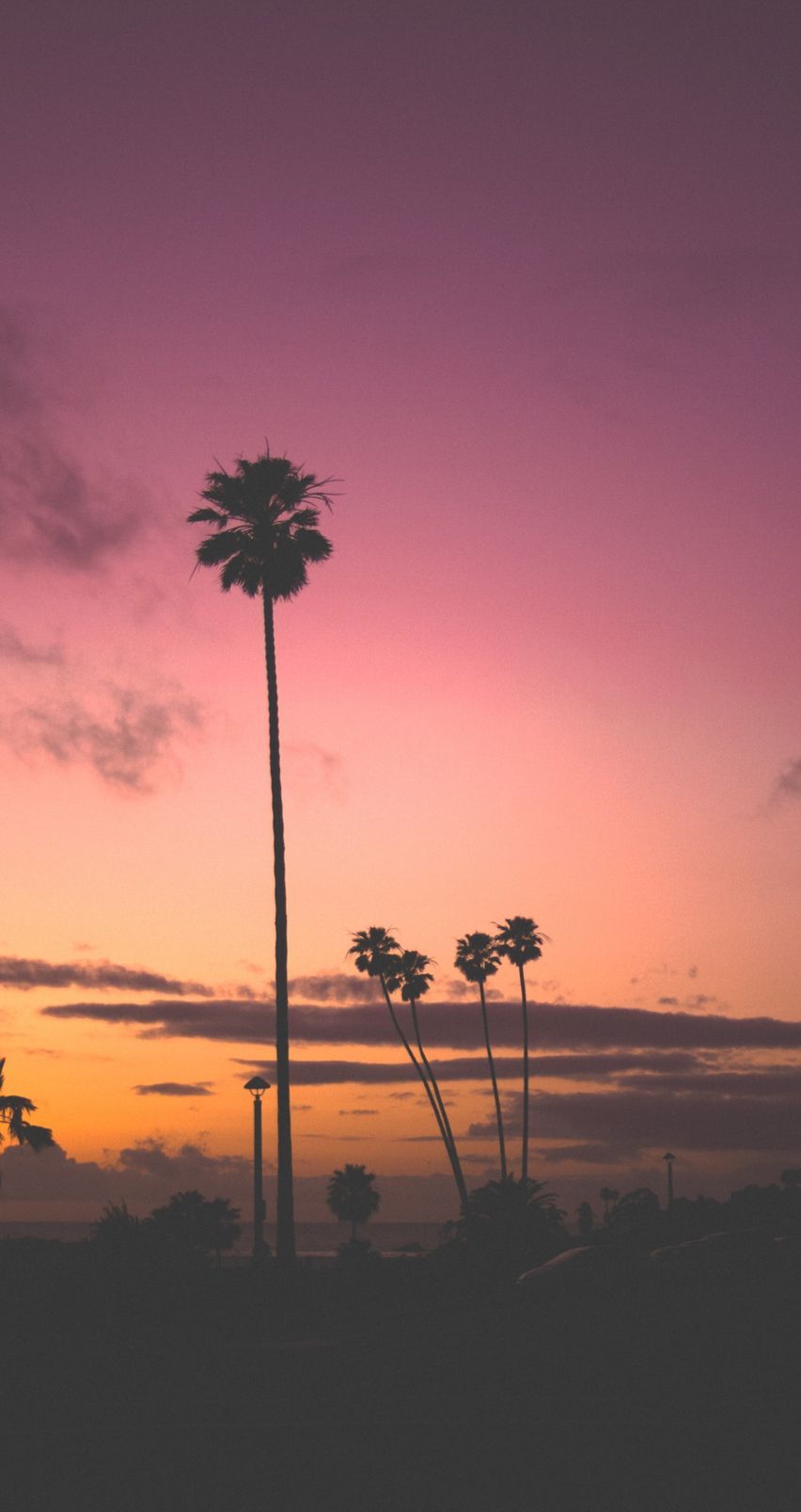 852x1608 California Dope Обои - Лучшие бесплатные фоны California Dope - WallpaperAccess