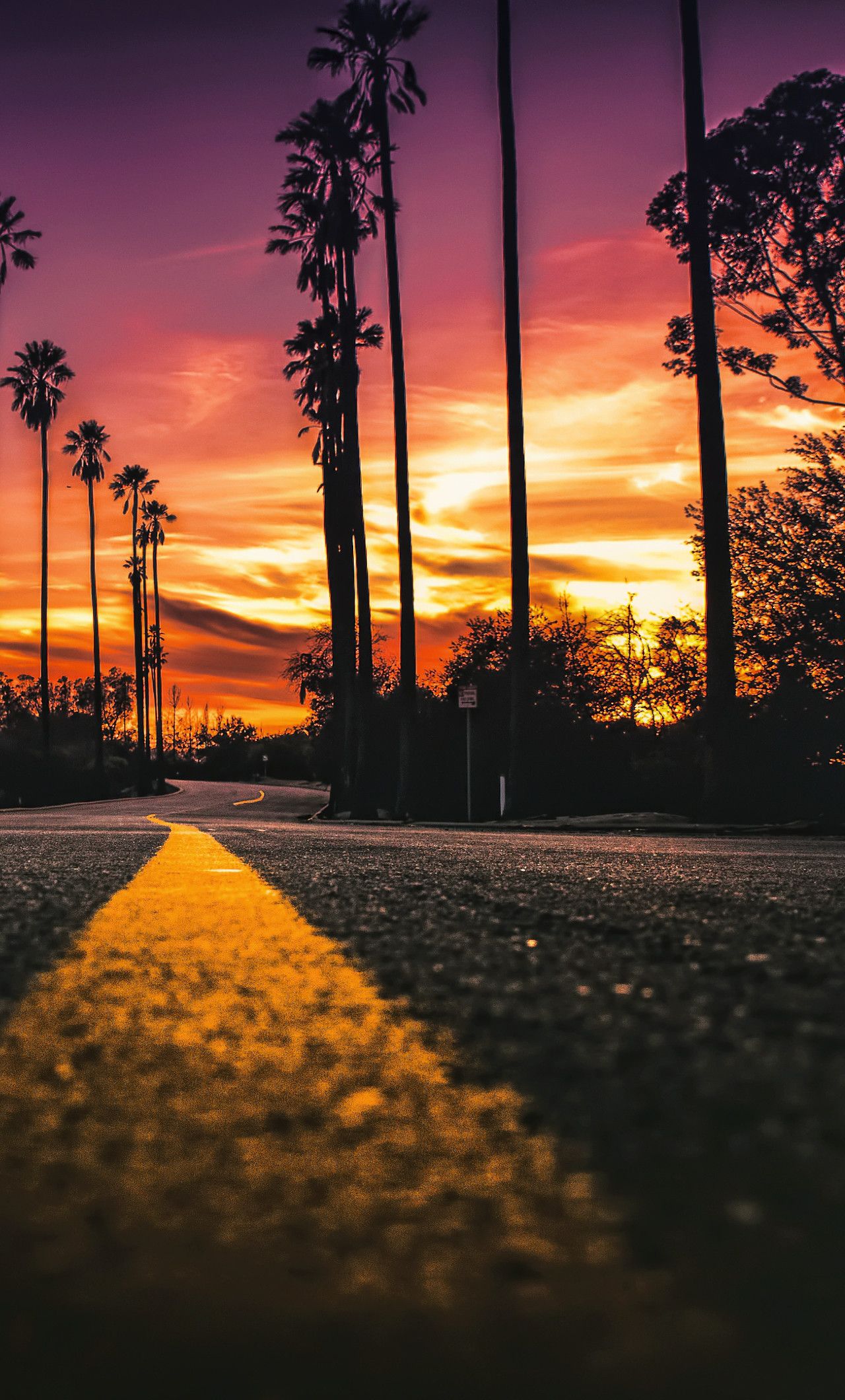 1280x2120 California iPhone обои - Лучшие бесплатные фоны California iPhone - WallpaperAccess