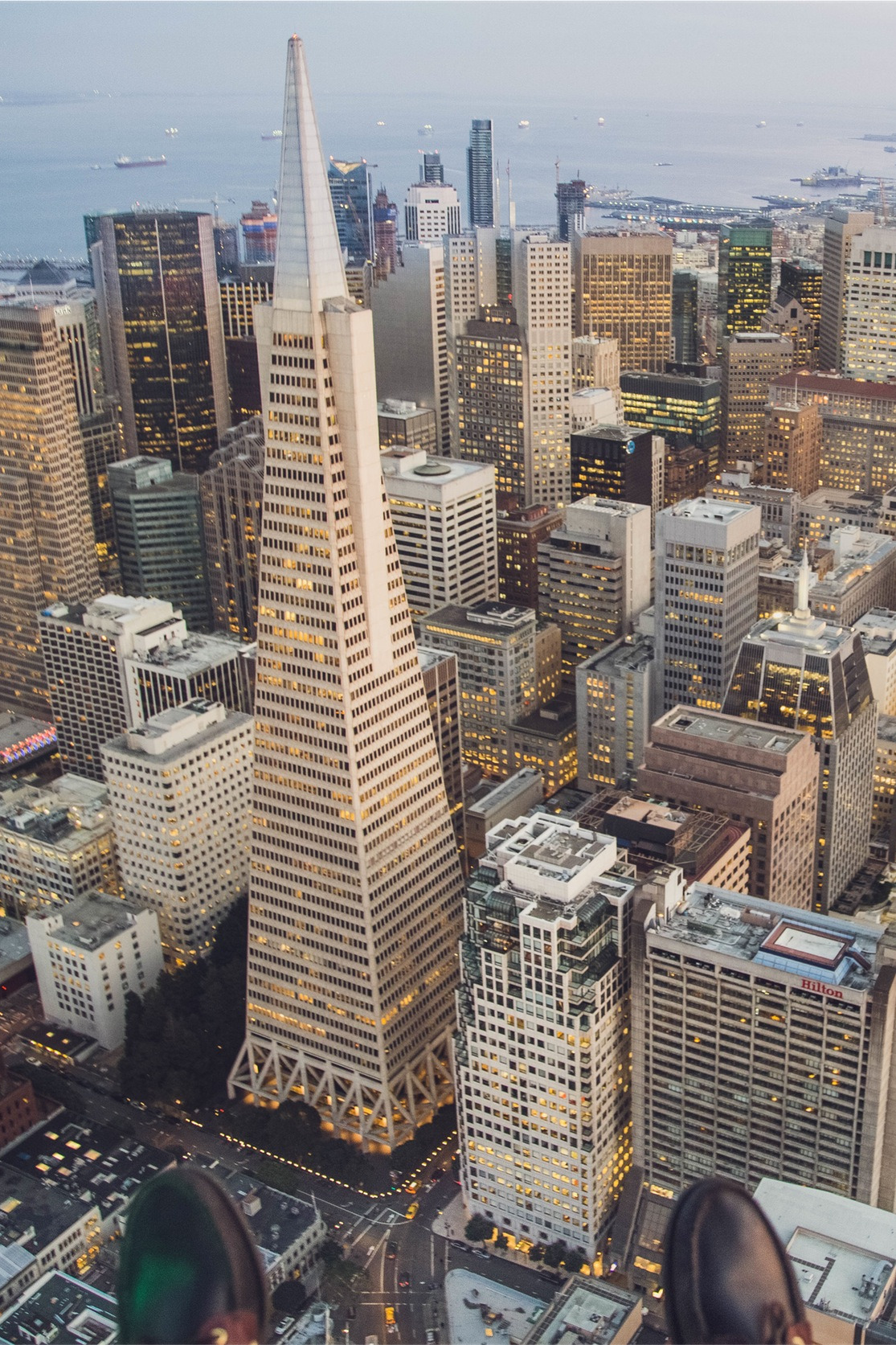 1115x1673   Мобильные HD обои 