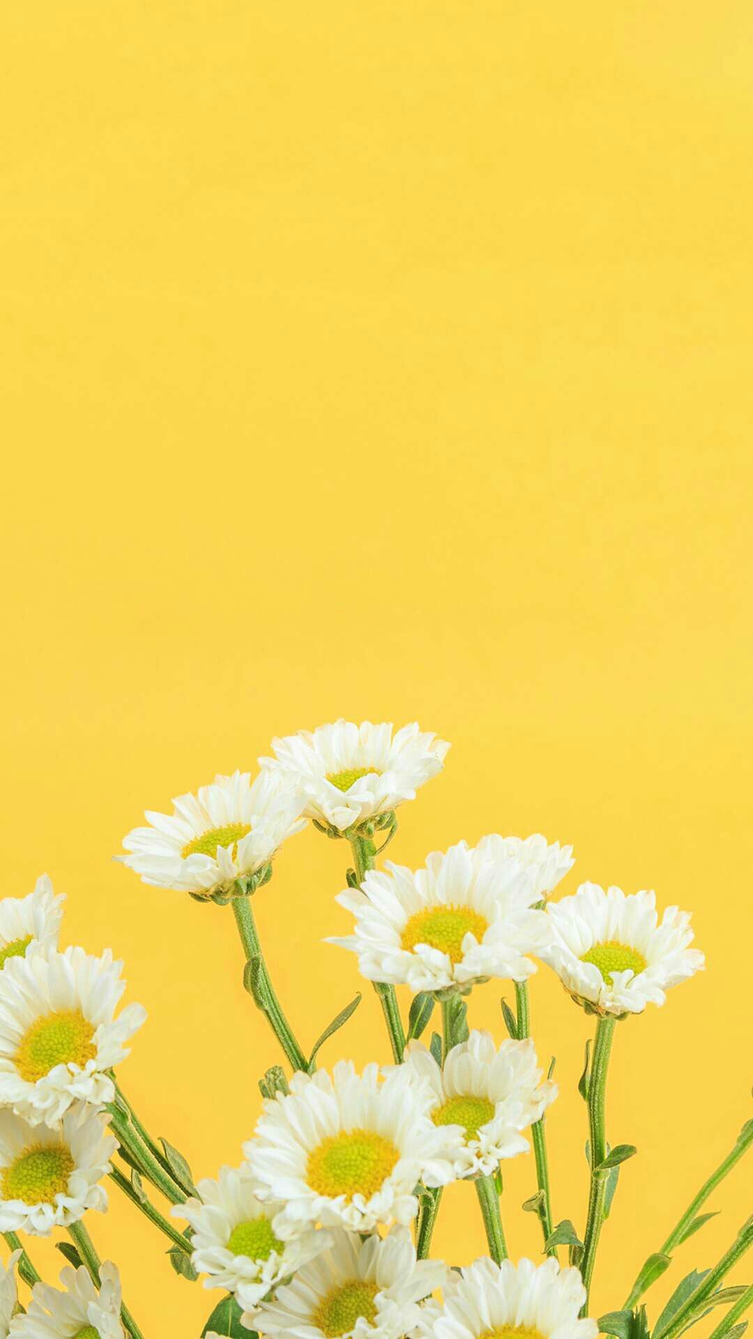 1080x1920   Fondos | Iphone wallpaper yellow 