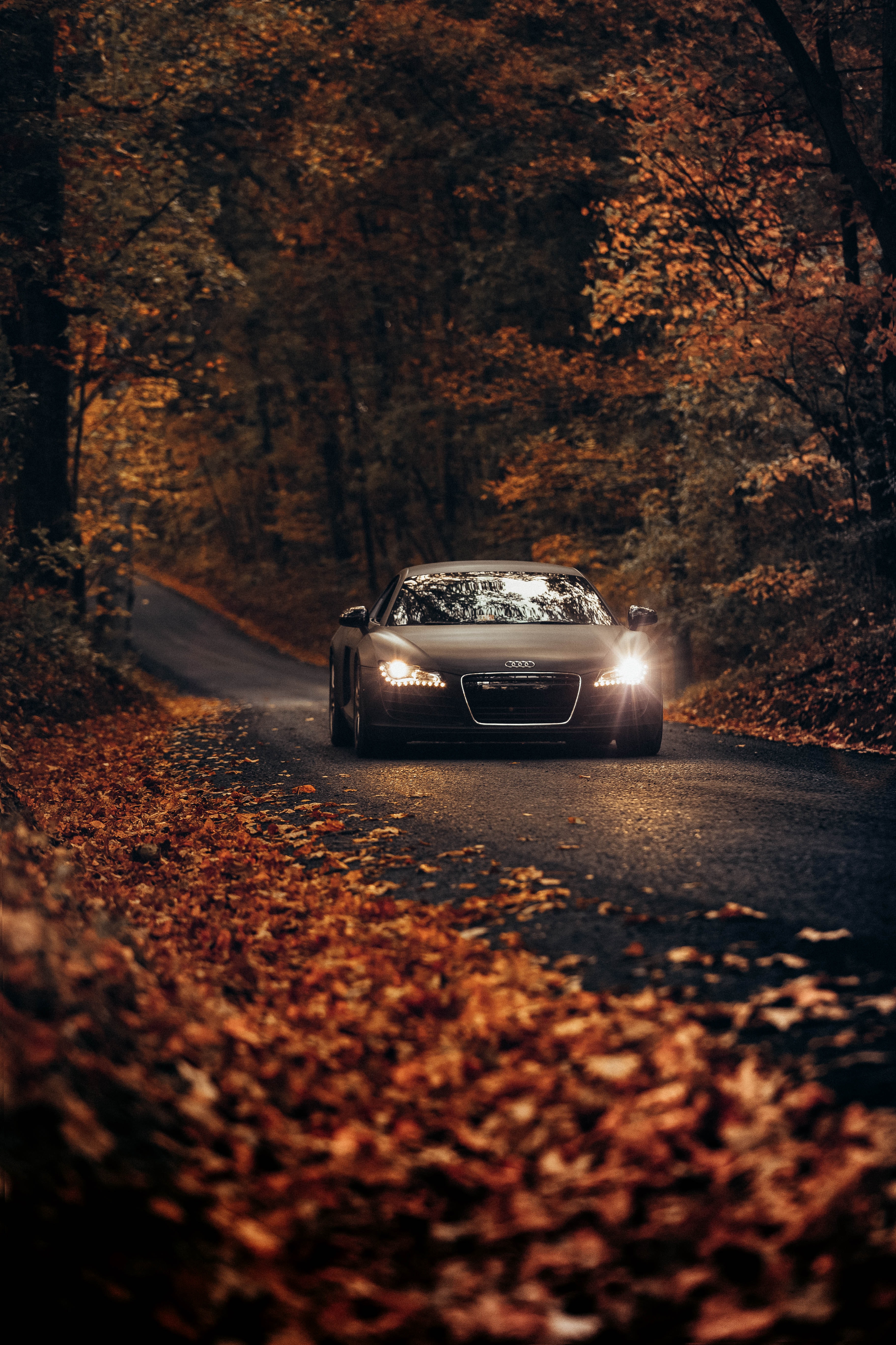 3648x5472 500+ Audi Wallpapers [HD] | Скачать бесплатные изображения на Unsplash