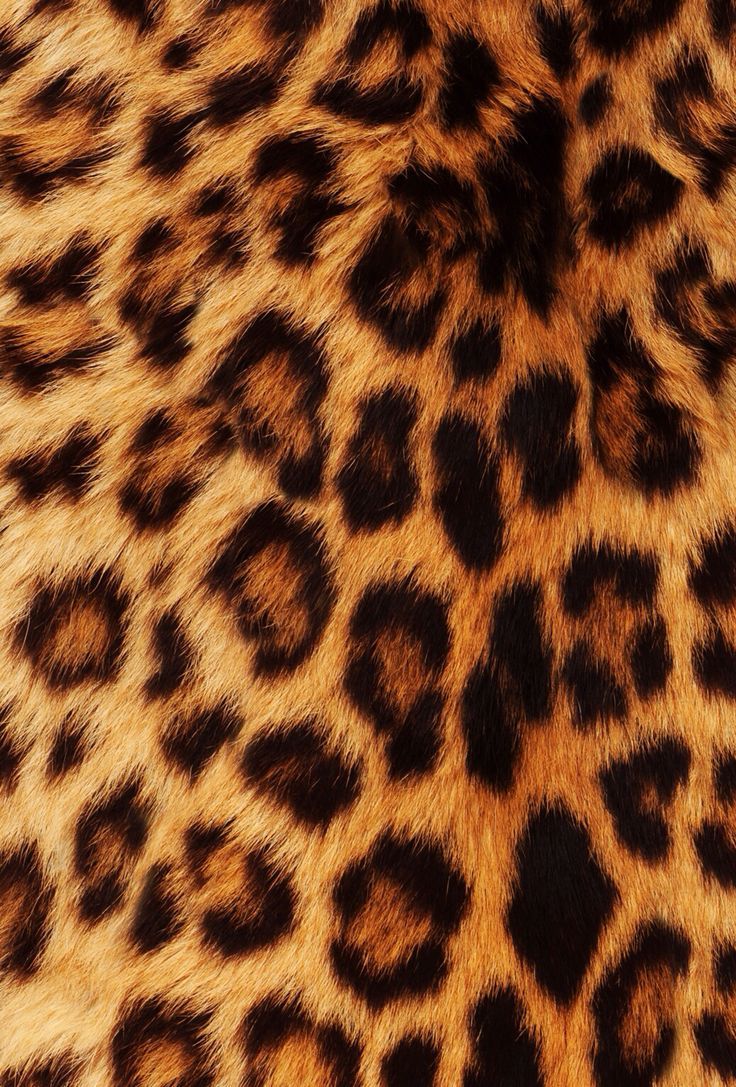 736x1087 Pink Leopard Fur Wallpapers on WallpaperDog