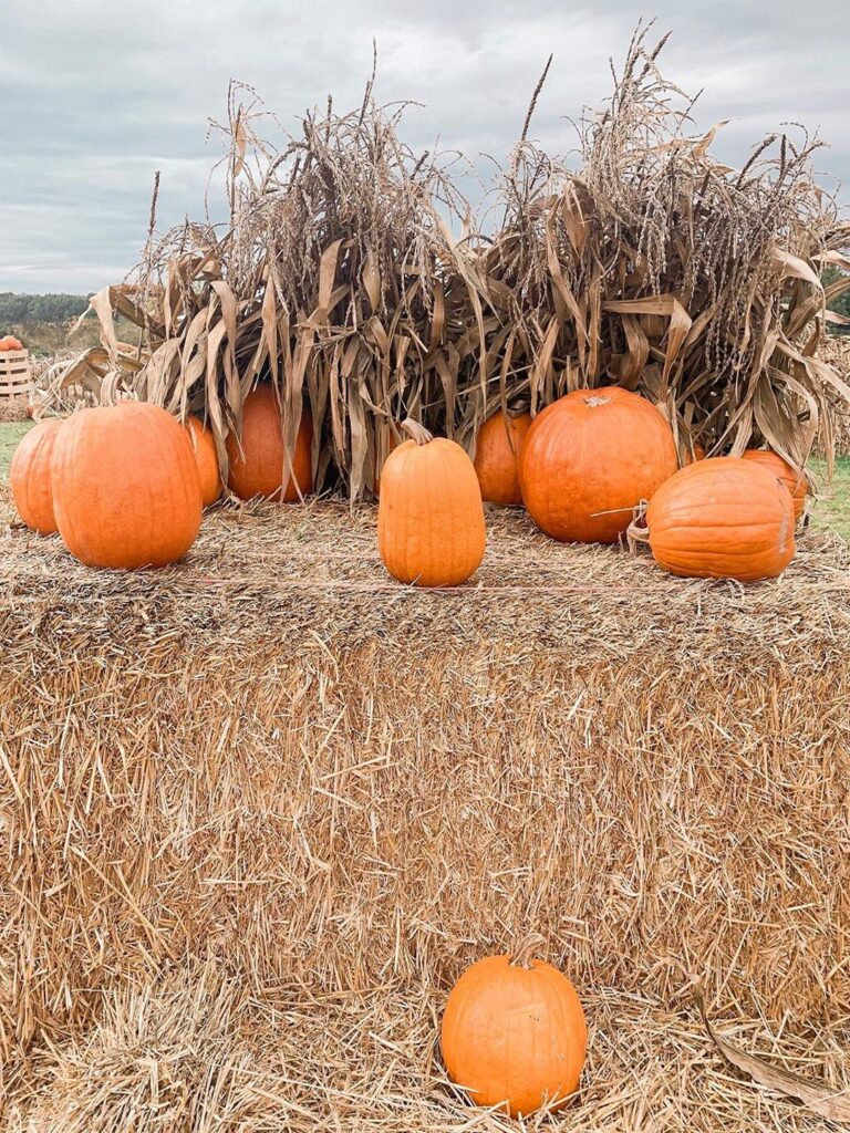 768x1024   Обои и фоновые идеи для телефонов - Украшение для жизни