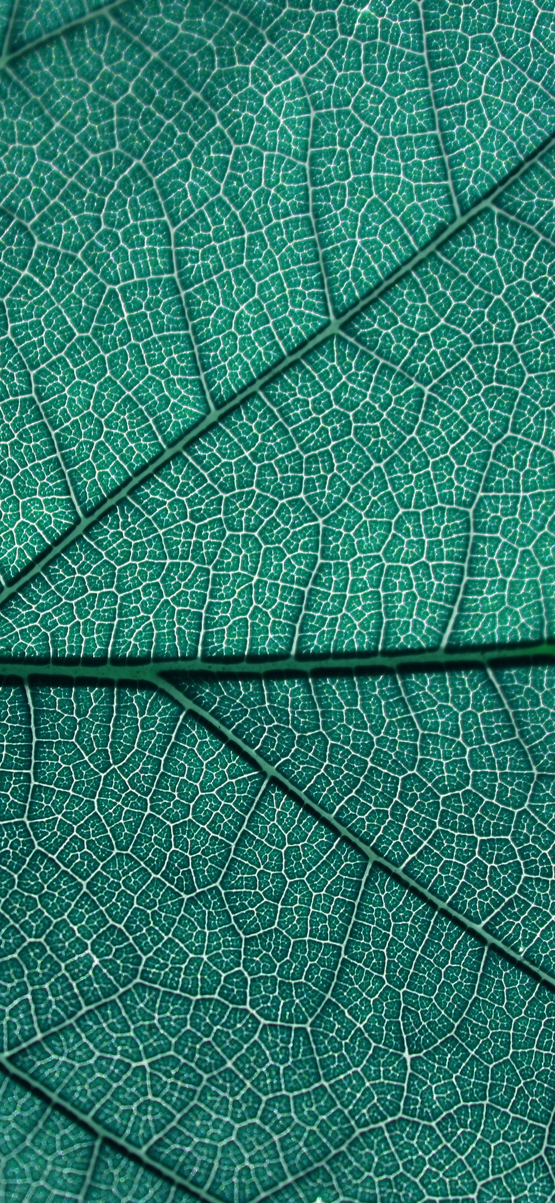 1125x2436  Загрузите эти красивые текстурные обои для iPhone iPad и Mac