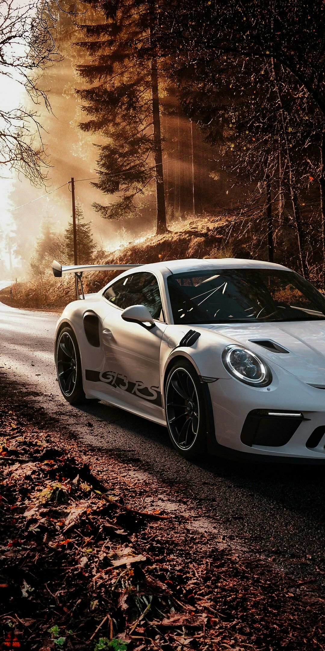 1080x2160 Silver Porsche 911 GT2 RS 4K Ultra HD Mobile Wallpaper