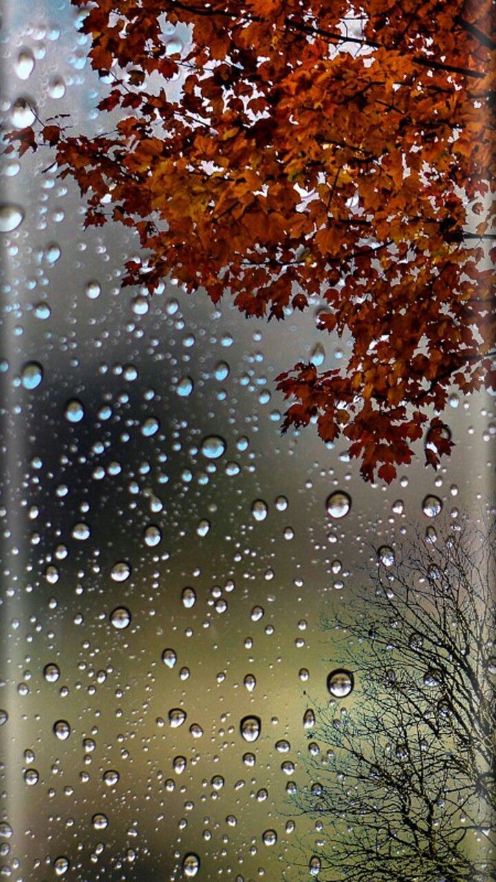 720x1280 « Raining Day APUS Live Wallpaper для Android - APK Скачать »