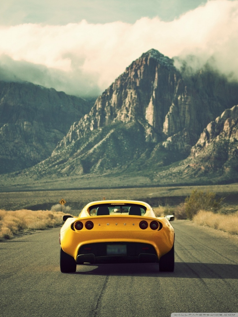 768x1024   Lotus Задний фон для рабочего стола Ultra HD Обои для: Multi Display Dual Monitor: Tablet: Smartphone