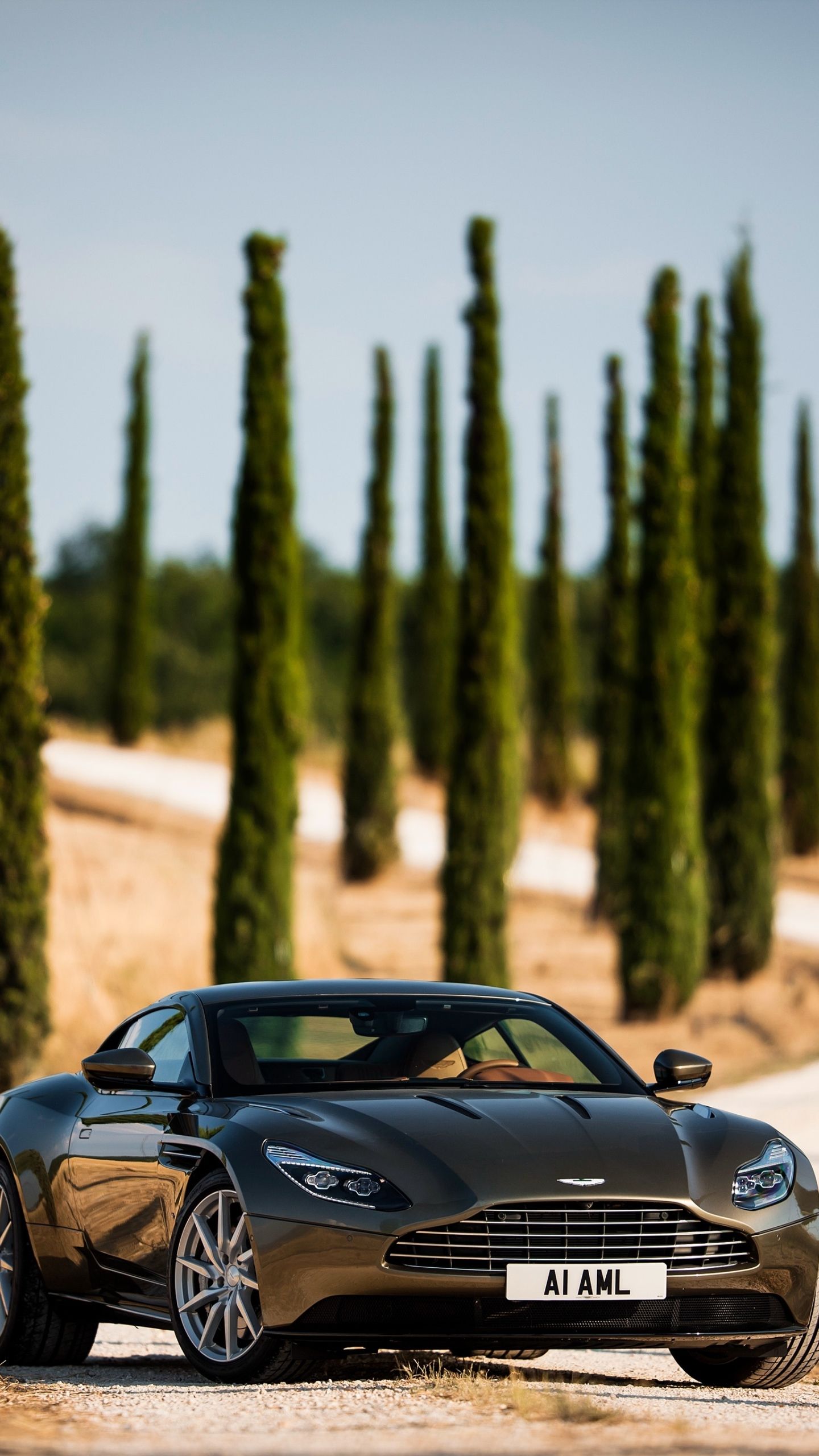 1440x2560  Aston Martin Db11 Topspeed (# 2995901) - HD обои \ u0026 Скачать обои