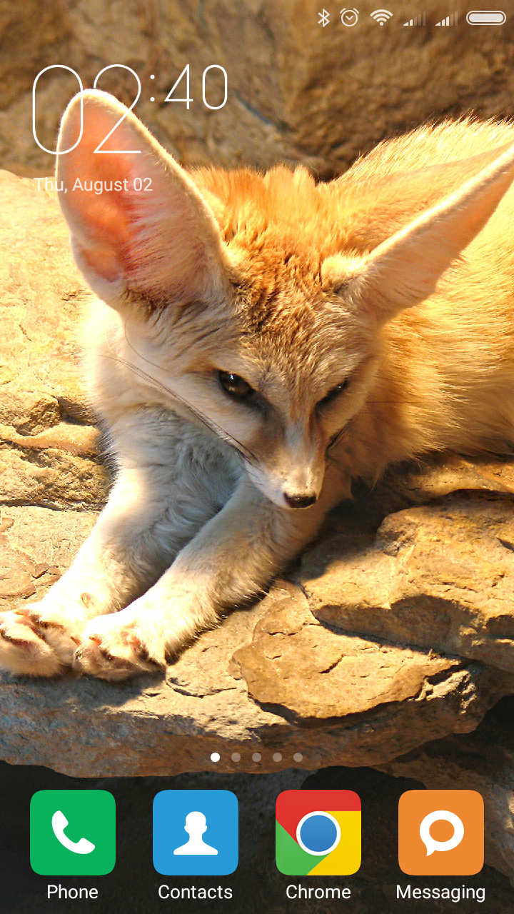 720x1280   ? Животные фенек лисы wallpaper | (54152) 