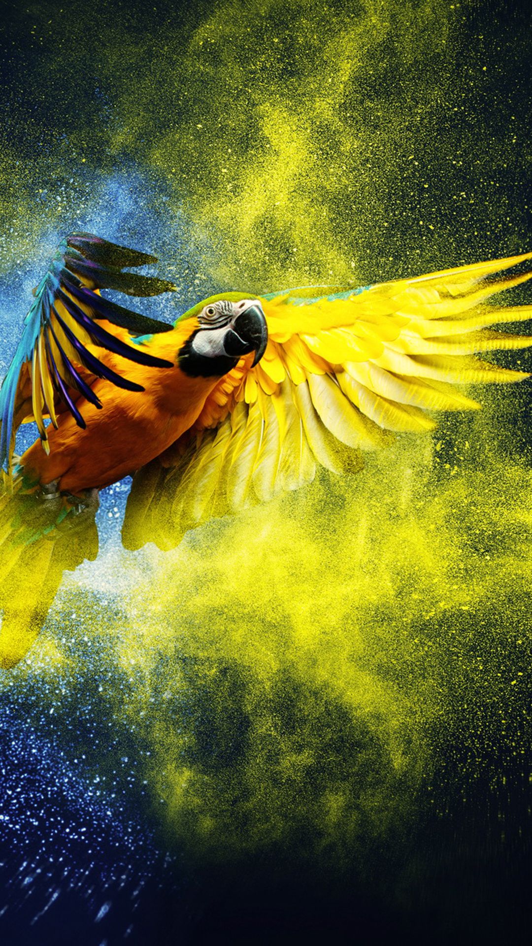 1080x1920  Parrot iPhone Wallpapers - Лучшие бесплатные фоны для iPhone с попугаем - WallpaperAccess