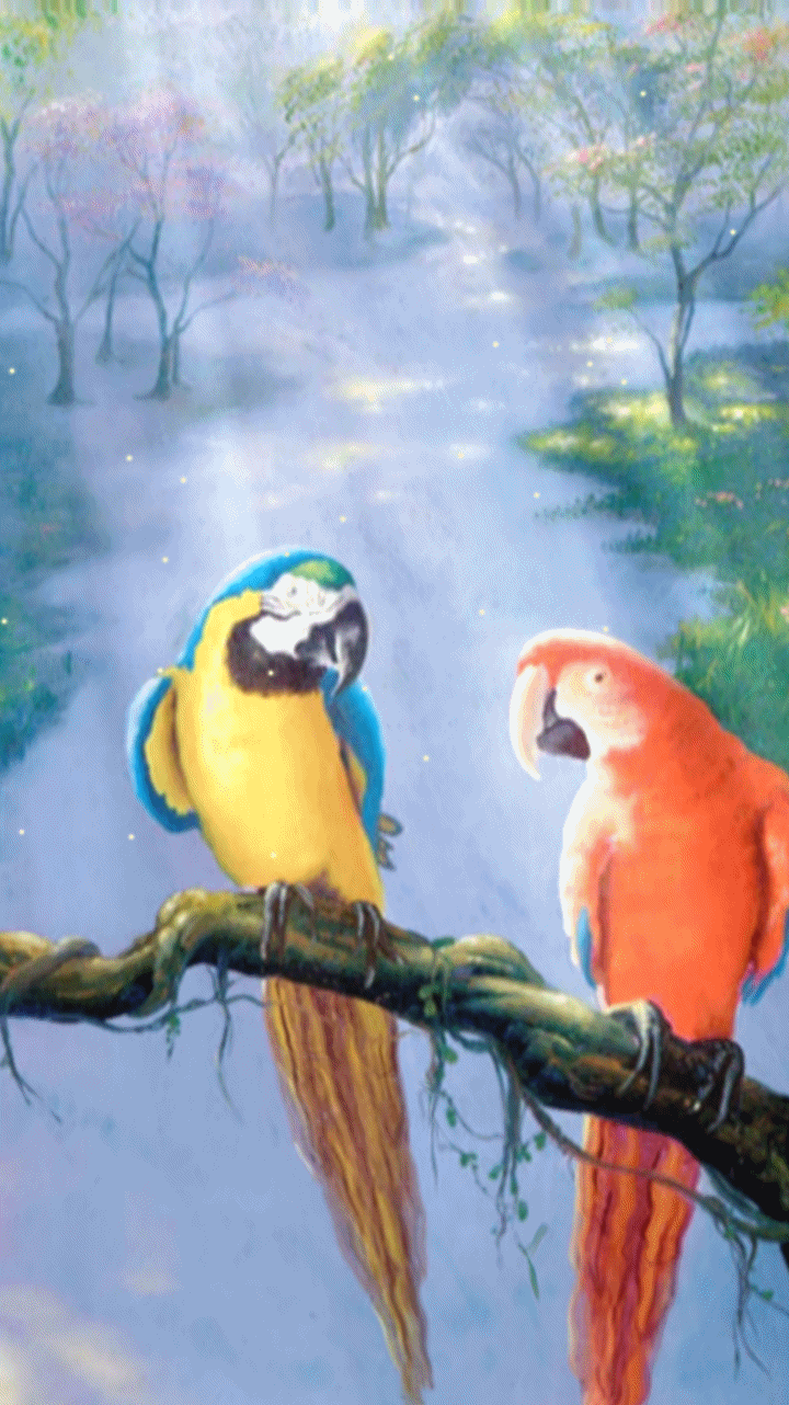 720x1282   Mobile HD Wallpapers