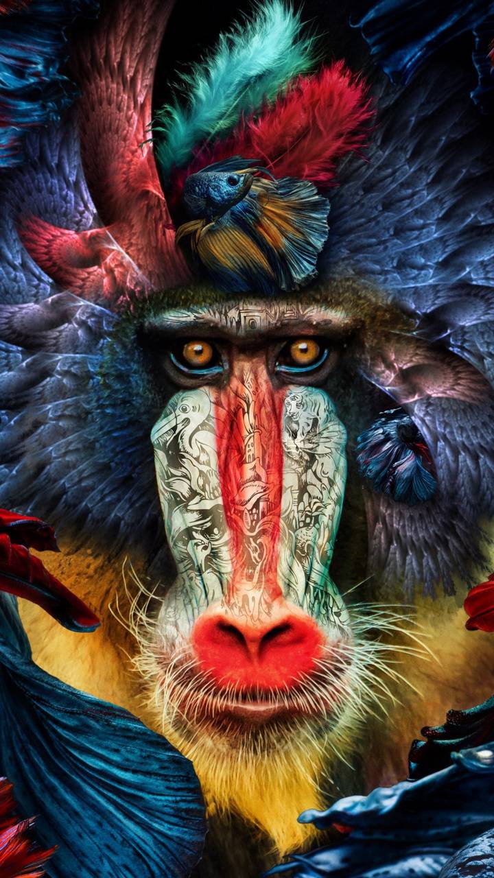 mandrill wallpaper