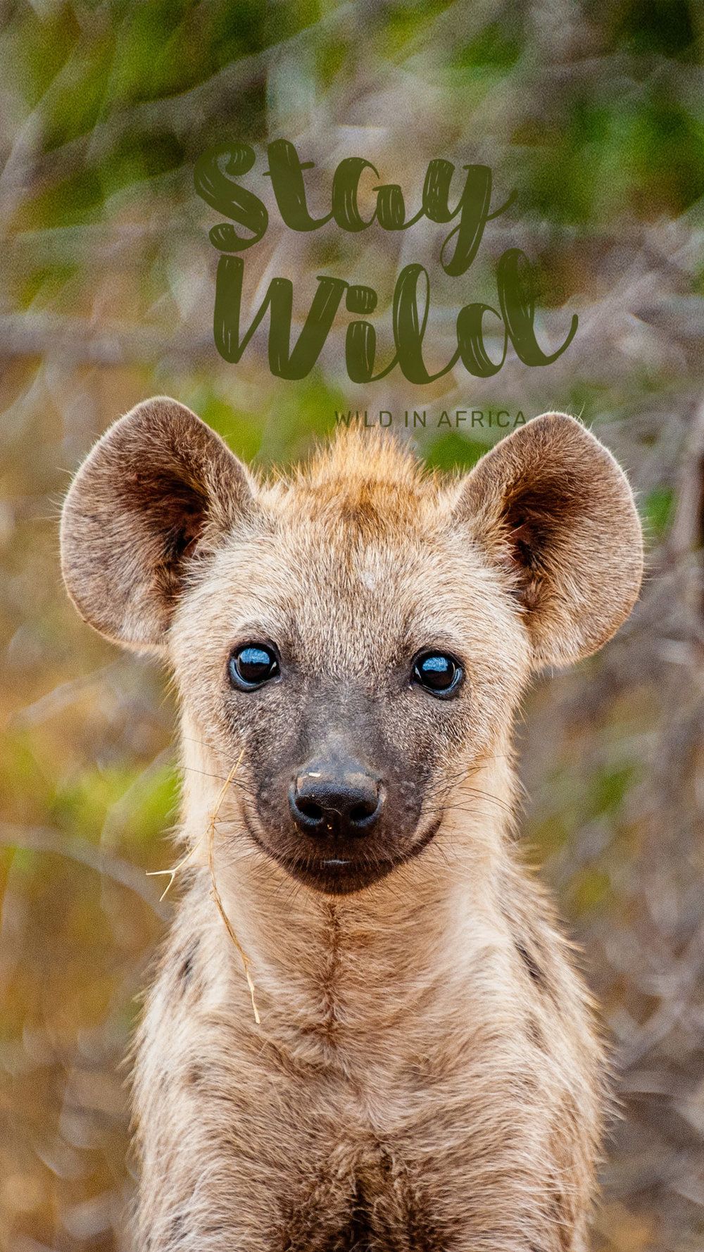 1000x1778  Hyena Wallpapers - Top Free Hyena Backgrounds - WallpaperAccess