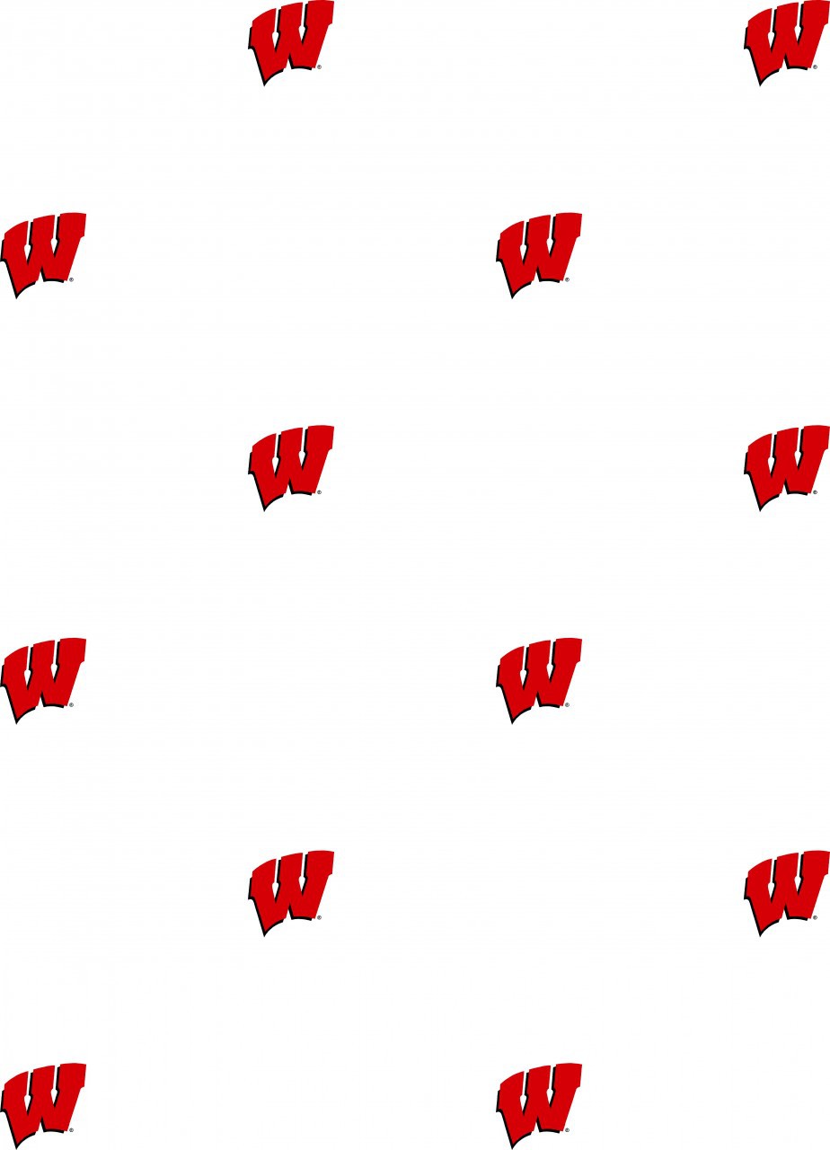 924x1280   49+] Wisconsin Badger Обои на обоиSafari
