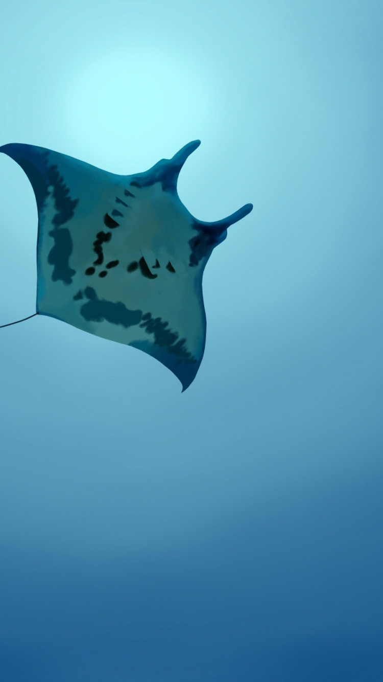 750x1334   Скачать бесплатно обои 177217 [2560x1600] Manta Ray для рабочего стола Мобильный \ планшет | Исследуйте 48+ обоев Black Manta | Aquaman Wallpaper Aquaman HD Wallpape 