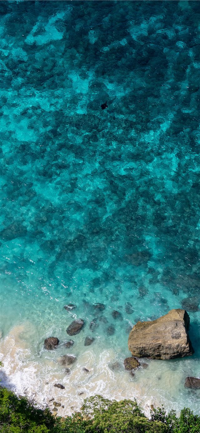 640x1385  MANTA RAY OVER THE CLIFF [NUSA PENIDA INDONESIA] iPhone 11 Скачать обои бесплатно 