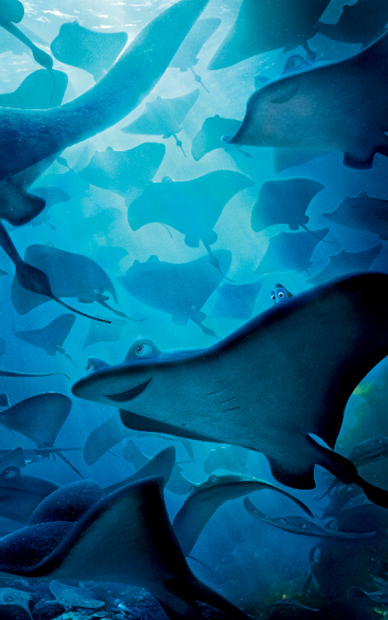 1600x2560   Текущие обои для iPhone (сделанные в аквариуме Атланты ??): iphonewallpapers