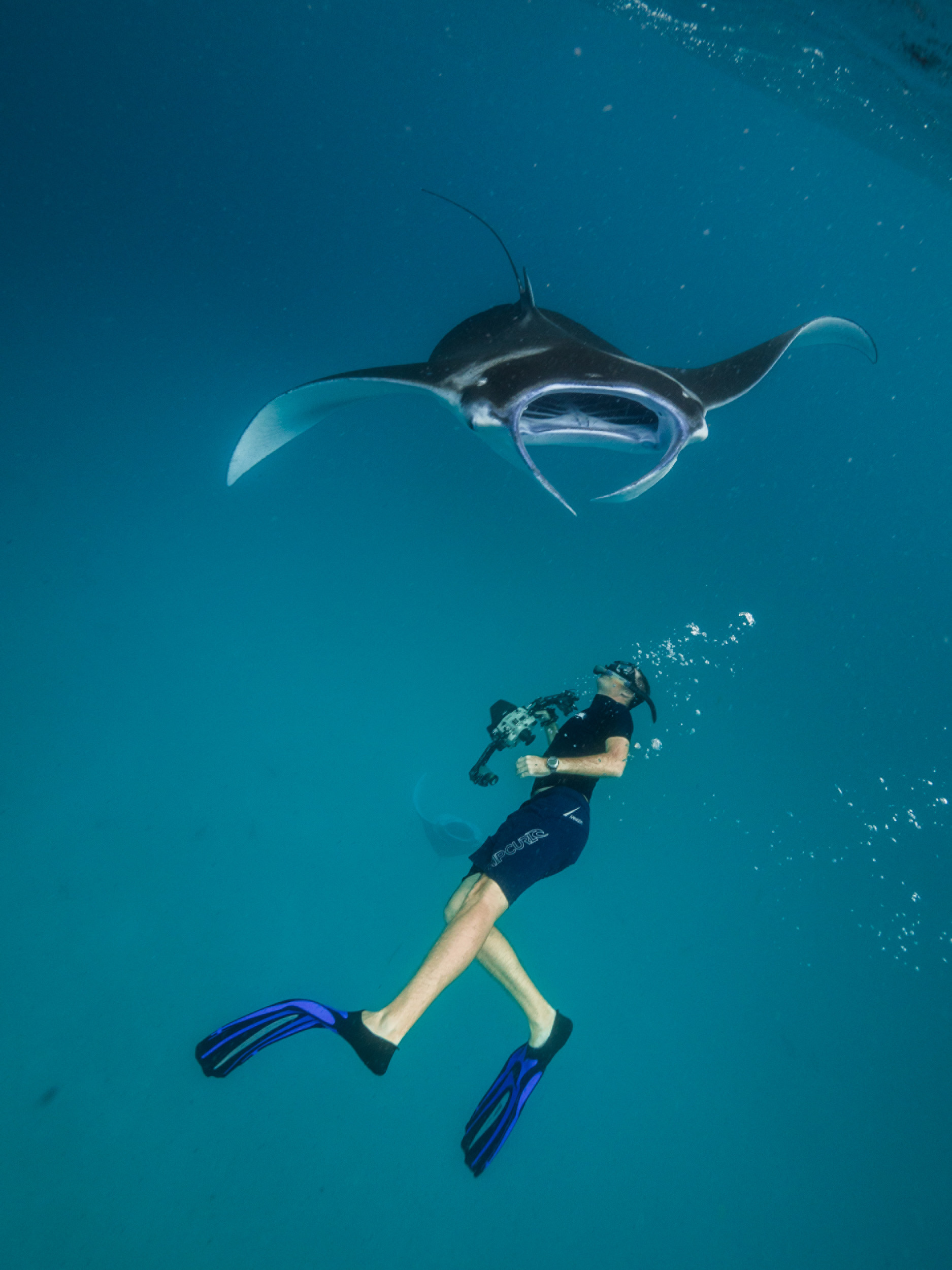 1875x2500  iphone wallpaper ocean-301 - Iphone wallpaper