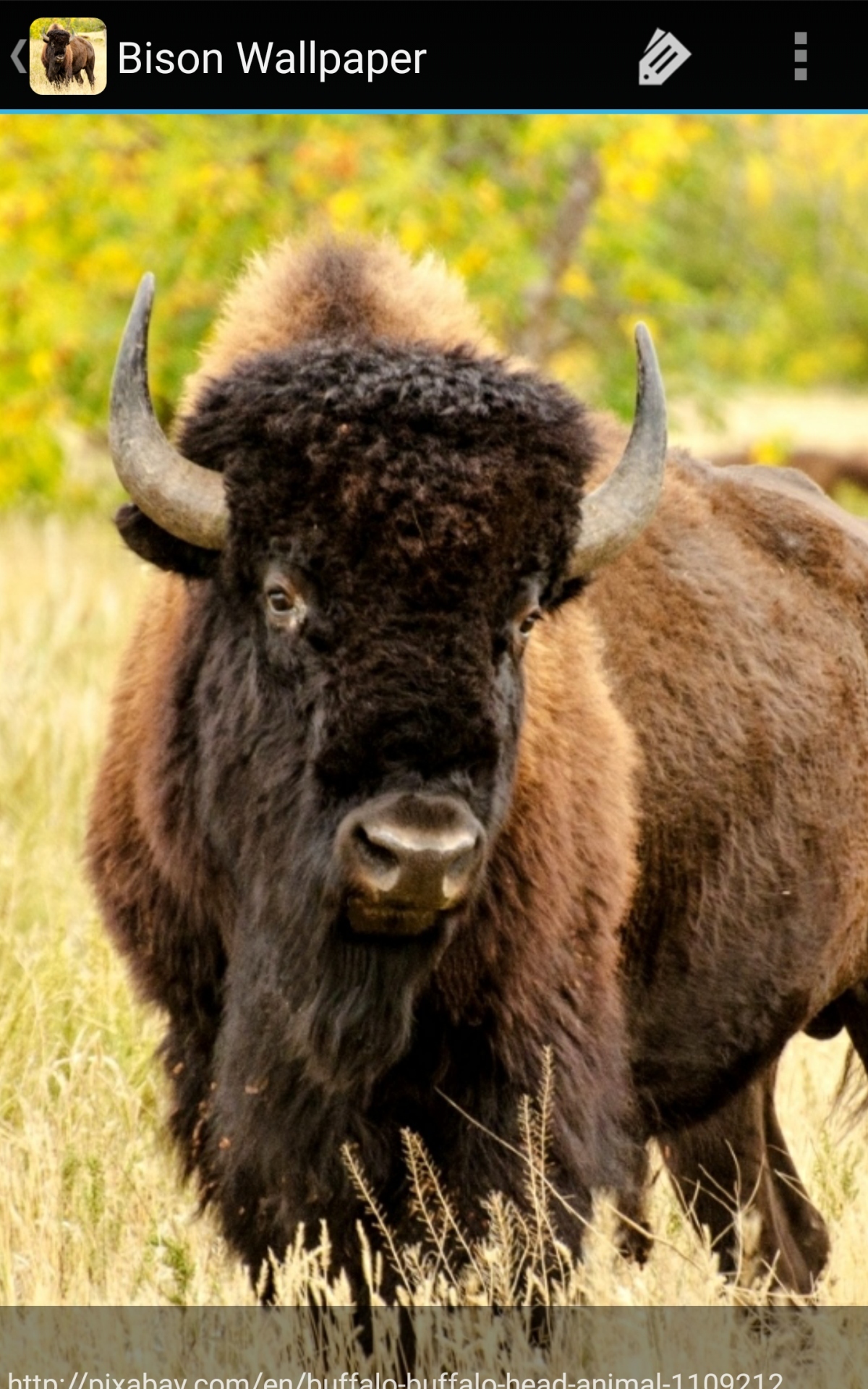 1200x1920  Amazon.com: Bison Wallpaper: Appstore для Android