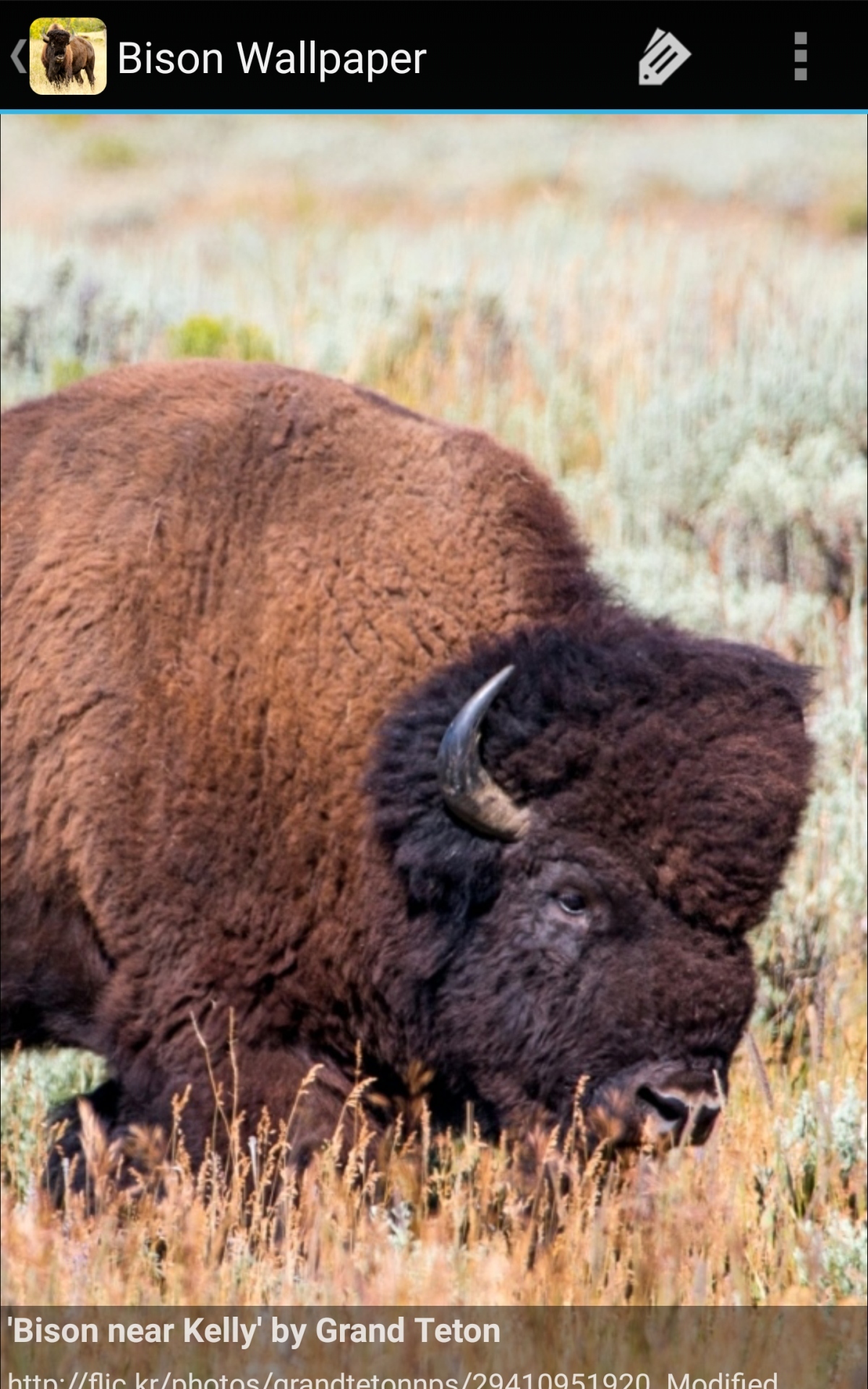 1200x1920   Amazon.com: Обои для рабочего стола Bison: Магазин приложений для Android