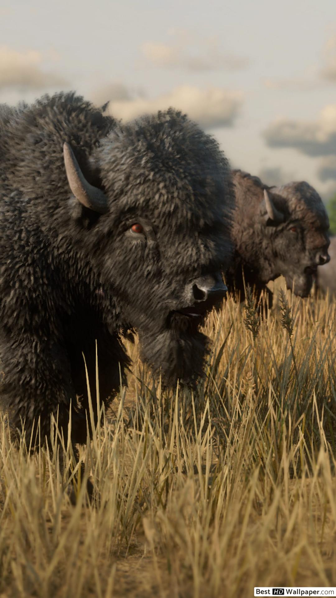 1080x1920  Bison Обои для Android для Android - Обои Cave