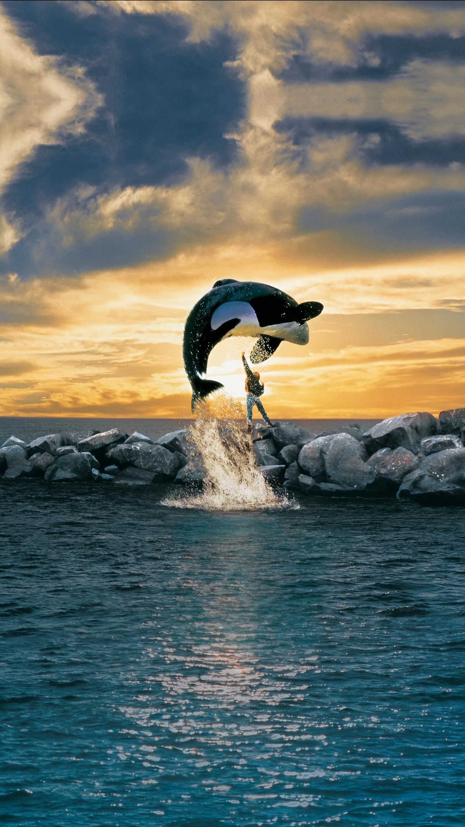 1536x2732  Pin on Movie