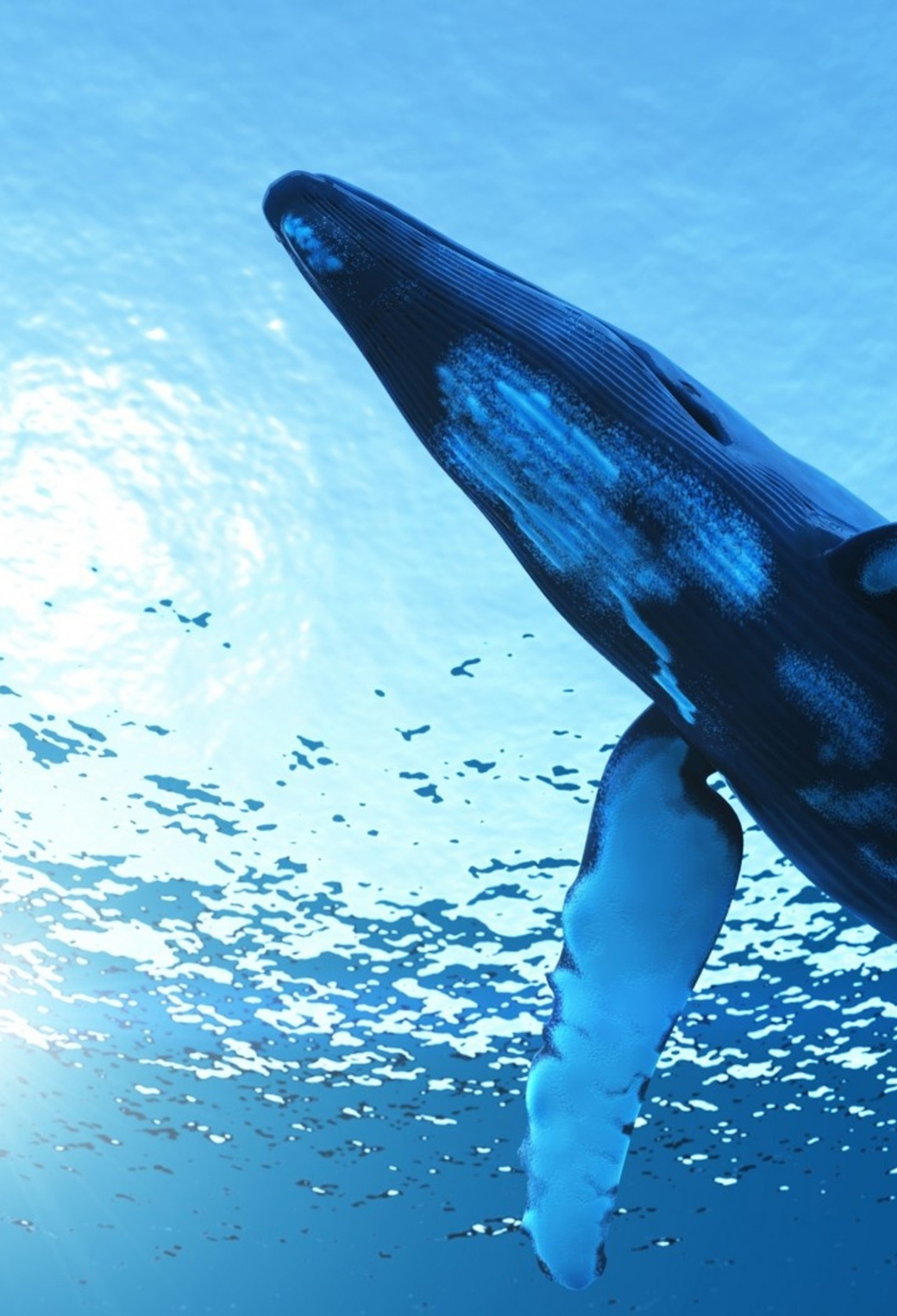 1040x1526  Wallpaper Whale Art Wave Blue - Killer Whale Wallpaper Iphone - Обои 938x1668 - teahub.io 
