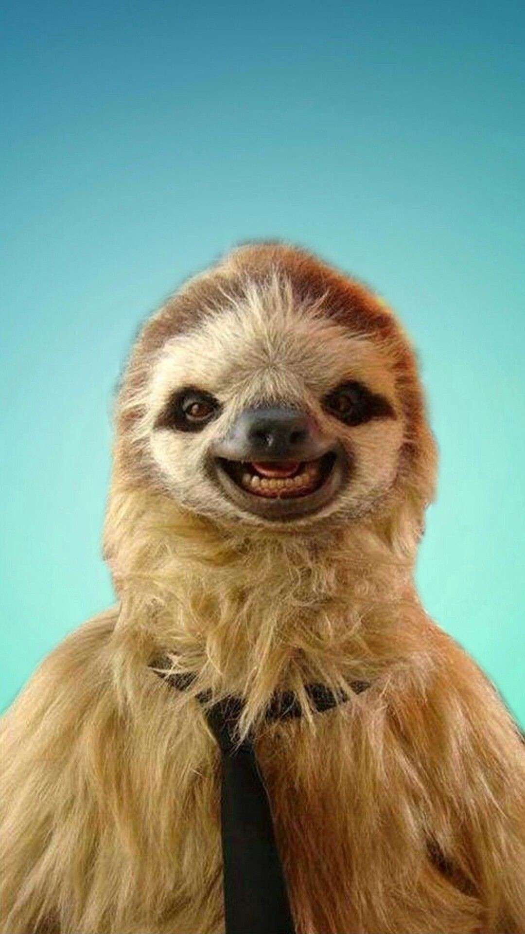 Покажи улыбающихся зверей. Ленивец Sloth. Ленивец валорант. Милые ленивцы. Милый Ленивец.