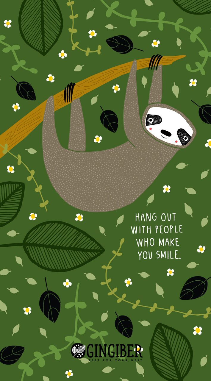 709x1280   Милые обои для iPhone Ленивец - Скачать HD обои - WallpaperTip