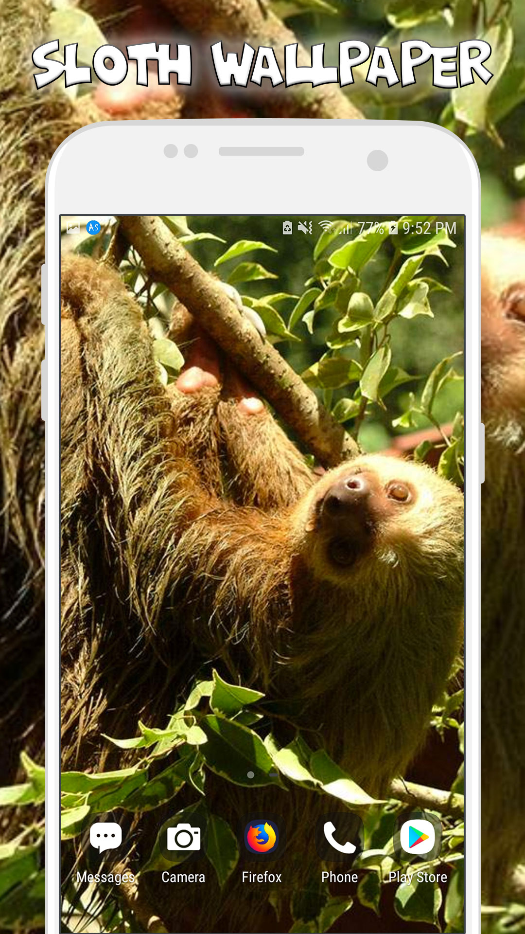 1080x1920   Обои для рабочего стола Baby Sloth - Обои Cave