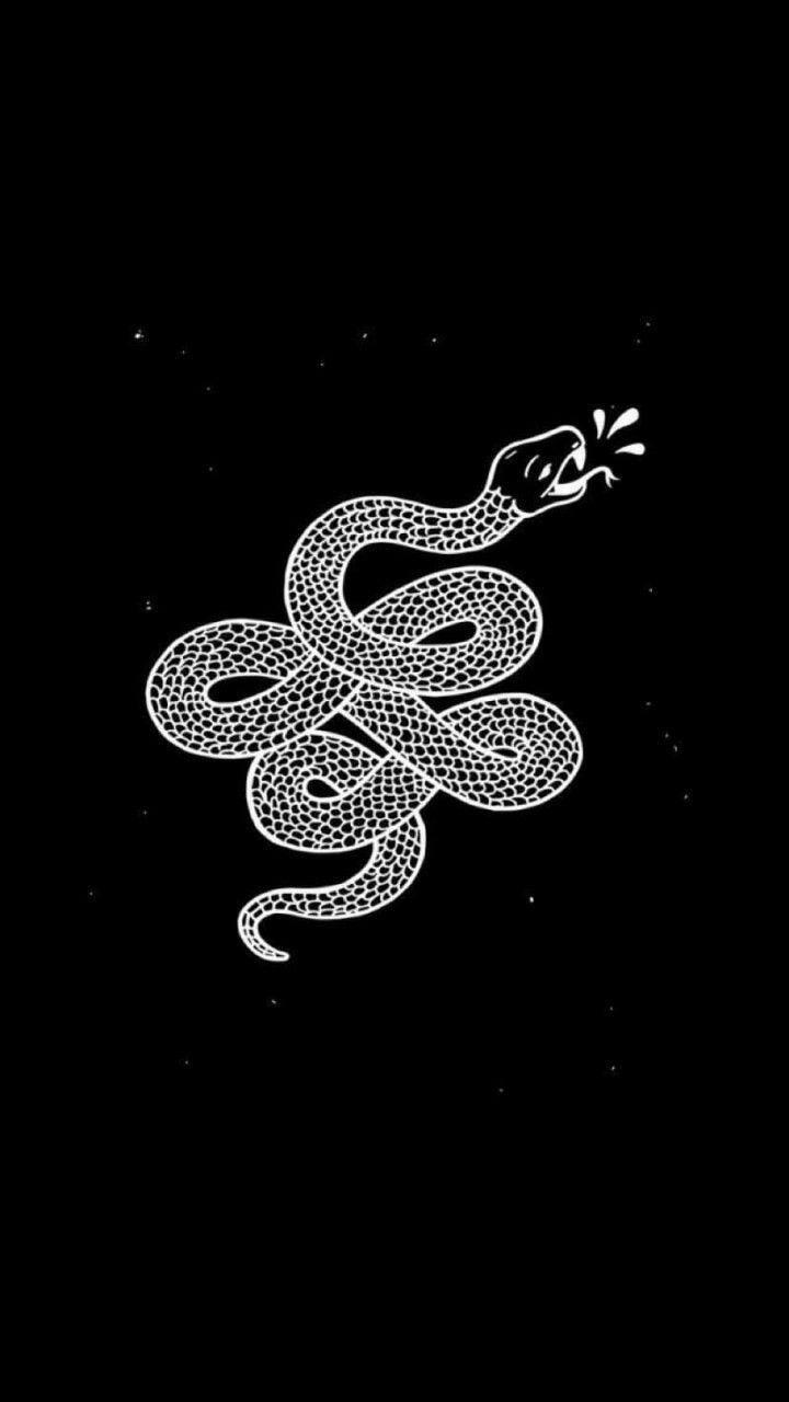 720x1280  Black Snake Wallpapers - Wallpaper Cave