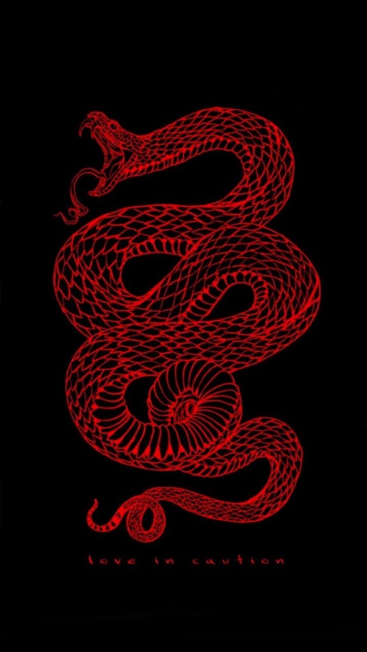 720x1280   ✅ [35+] Snake Aesthetics - Android iPhone Desktop HD Backgrounds / Wallpapers (1080p 4k) (1080x1527) (2021) 