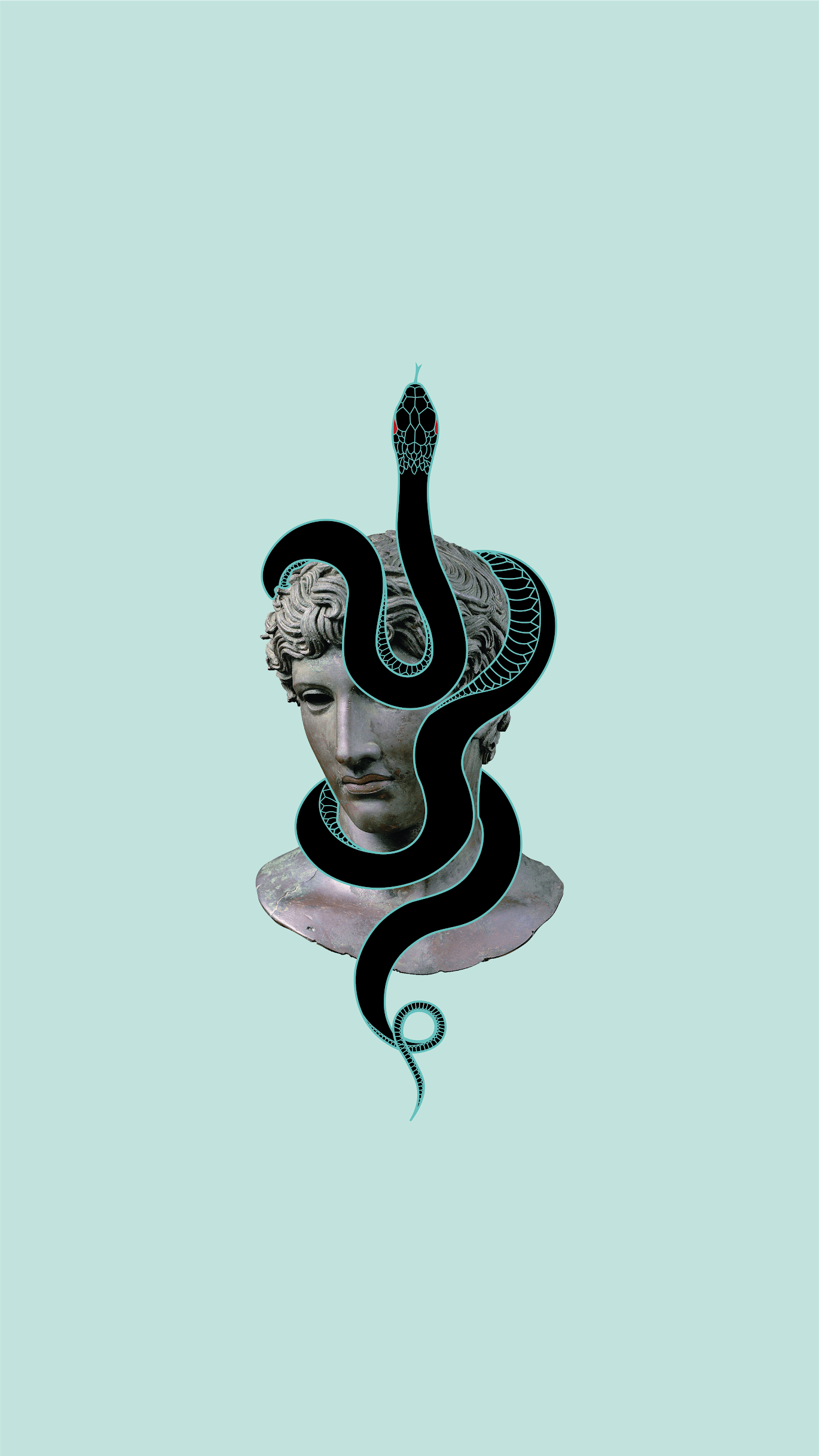1370x2436   ✅ [35+] Snake Aesthetics - Android iPhone Desktop HD Фоны / обои (1080p 4k) (1151x2048) (2021) 