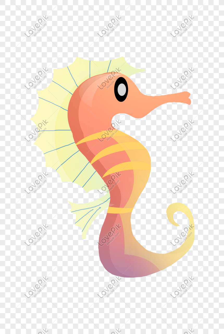 860x1280   картинки морских лошадей | Скачать бесплатные изображения на Unsplash 