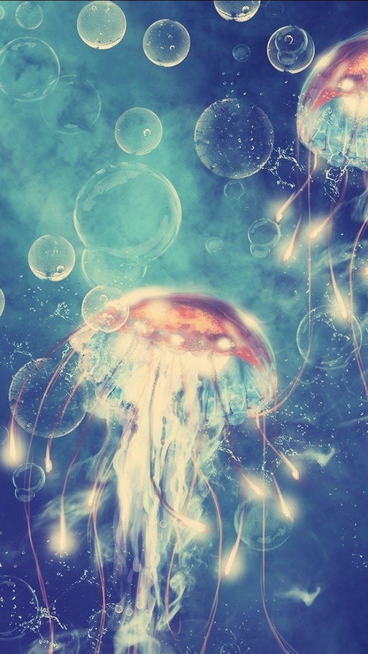 720x1280  Cool Jellyfish Wallpapers Mobile - 720x1280 Wallpaper - teahub.io 