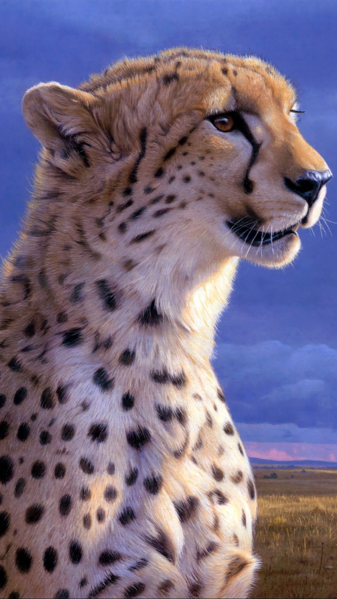 1080x1920 Iphone Cheetah Wallpaper Hd - Лучшие обои для iPhone HD