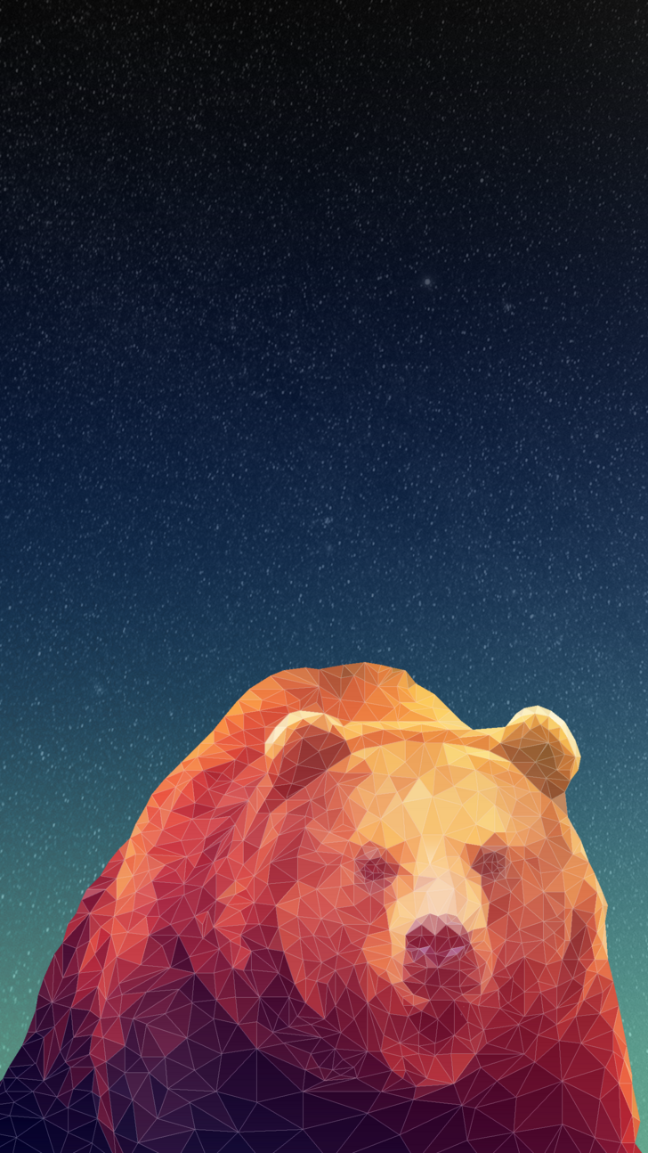 728x1294  Bear Phone Wallpapers - Лучшие бесплатные фоны для телефонов Bear - WallpaperAccess