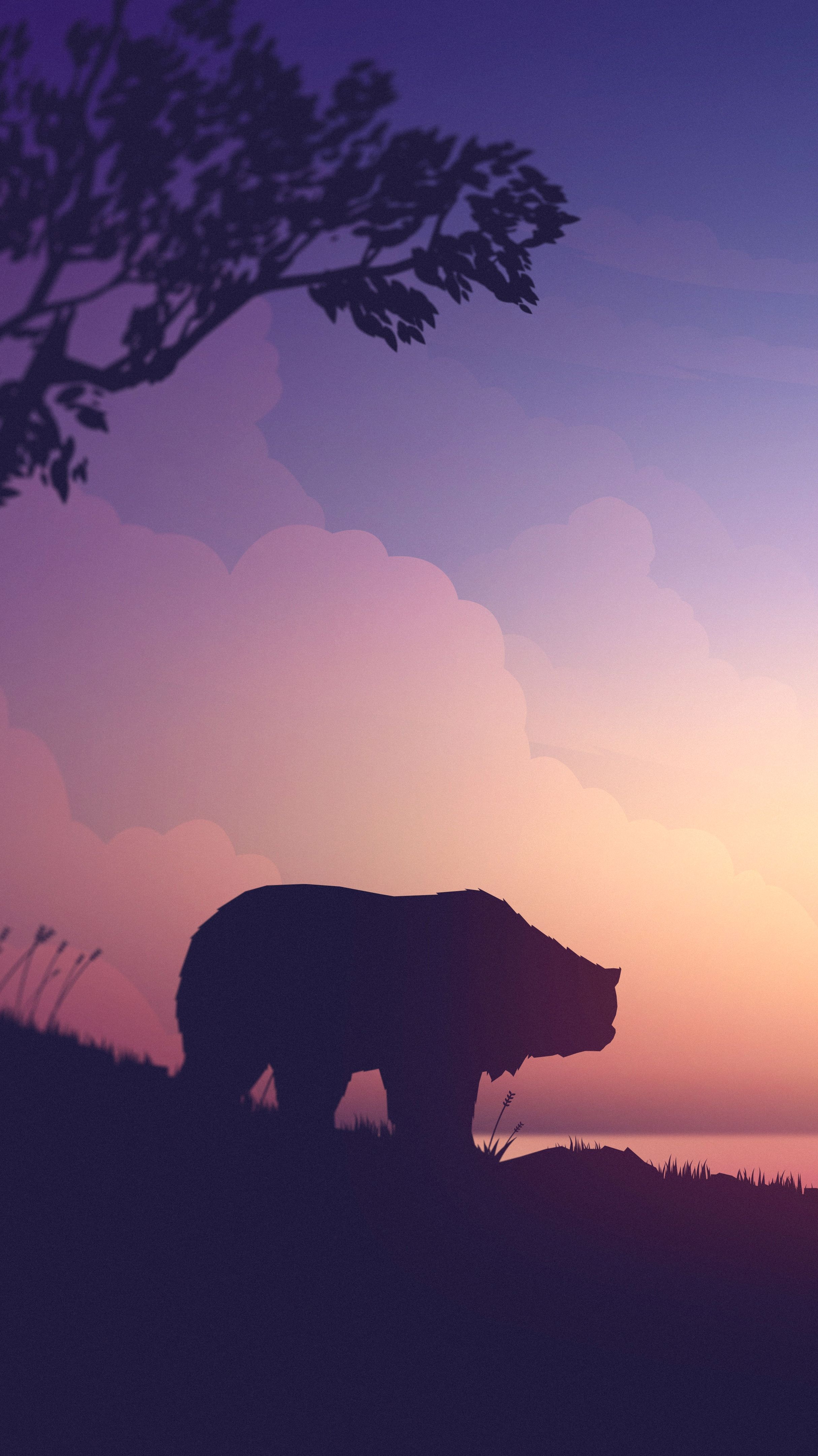 2428x4320   Медведь Телефон Обои, опубликованные Джоном Андерсоном