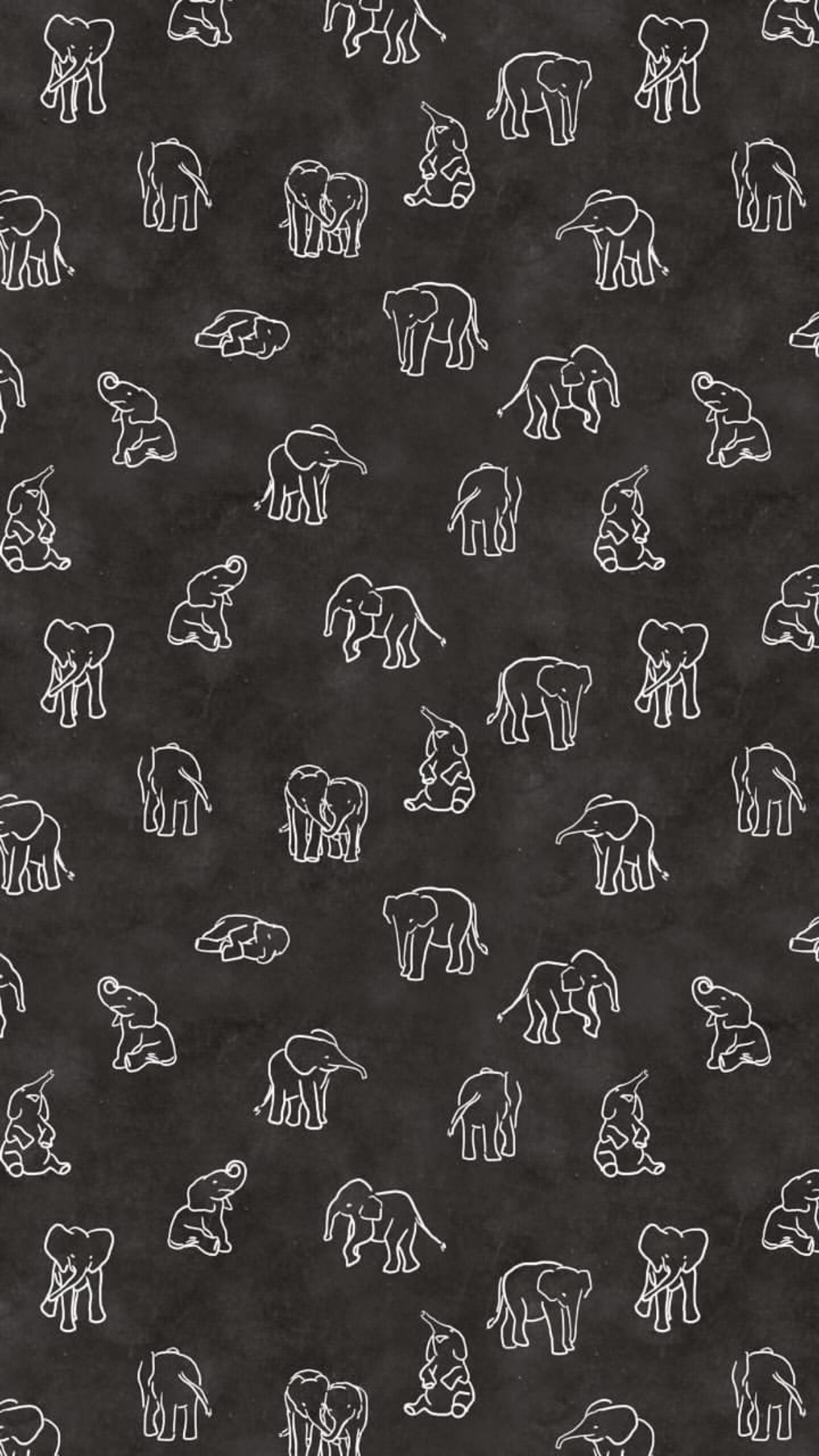 1242x2208  Pin от Aisha Abbasi на обои для Iphone | Слон обои для телефона Слон обои для iphone обои Слон 