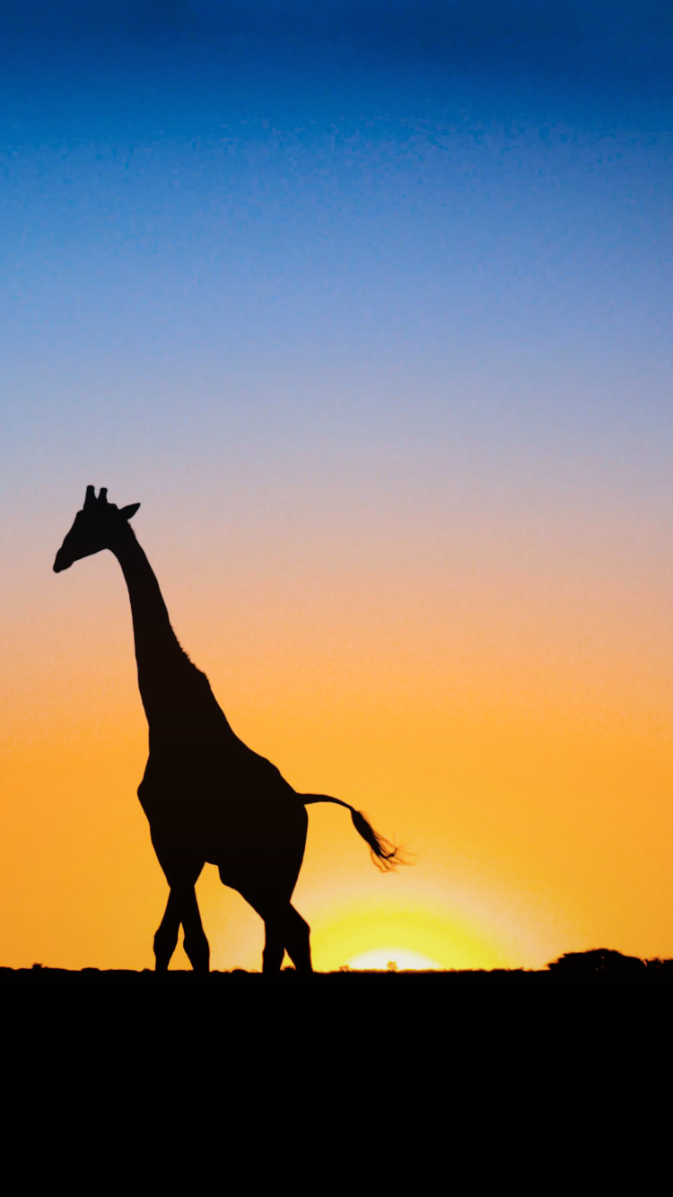 750x1334 Be Linspired: бесплатные обои / фоны для iPhone 6 | Iphone 6 wallpaper Iphone 6 wallpaper background Giraffe