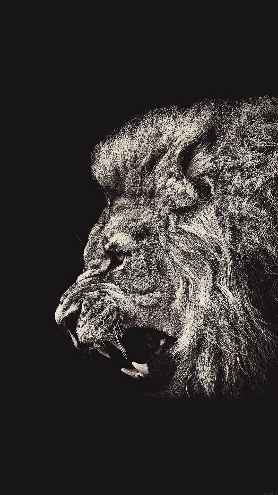 1080x1920  Lion iPhone Wallpapers - Обои Cave