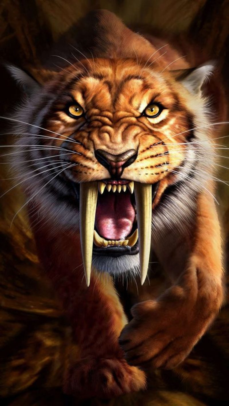 800x1419  Sabertooth Lion iPhone Wallpaper | HappyShappy