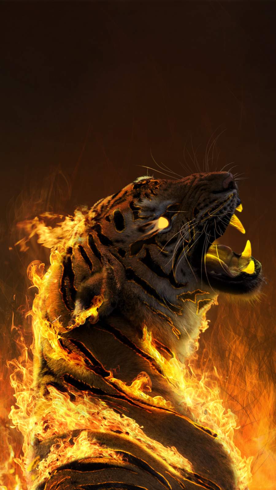 900x1600  Burning Tiger iPhone Wallpaper - Обои для iPhone: iPhone Wallpapers