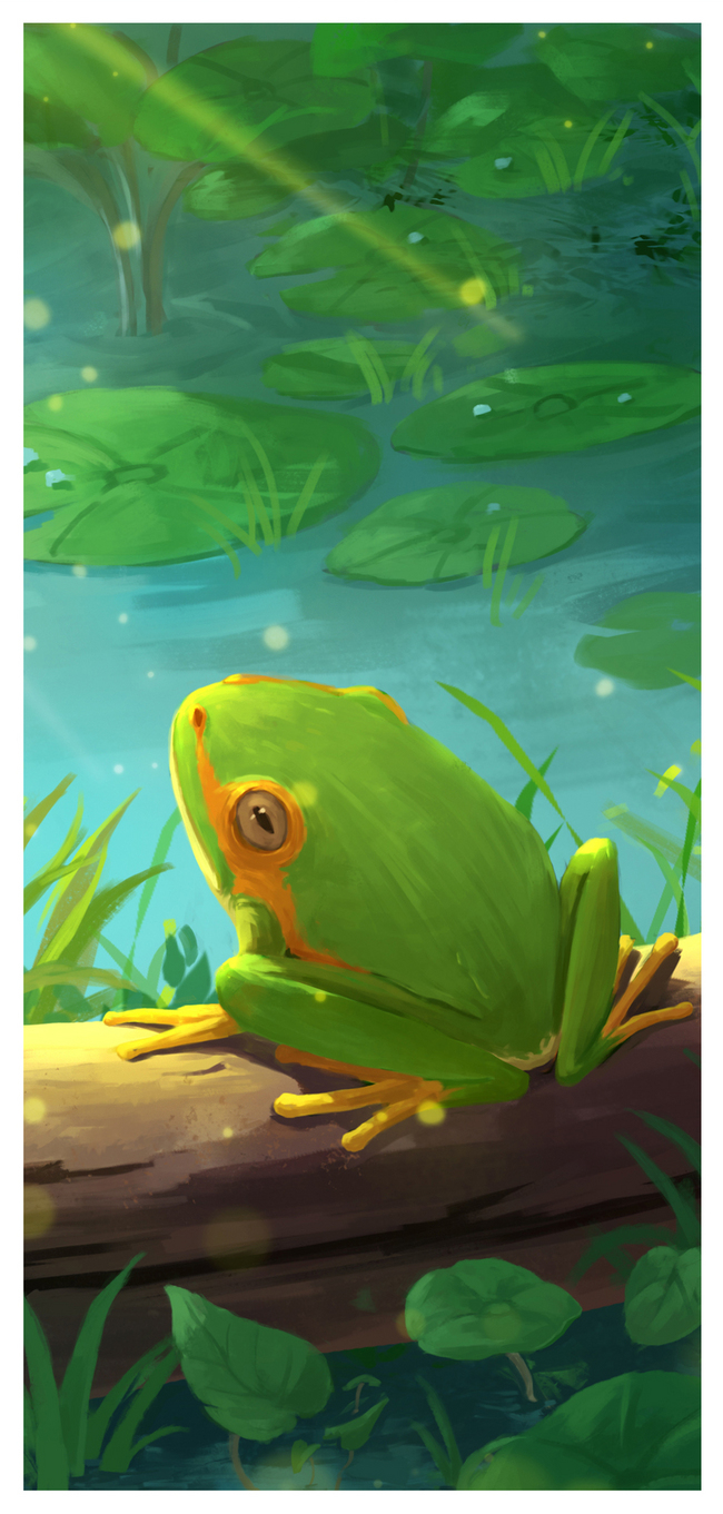 650x1361   Животные Лягушка Лягушки (1080x1920) Обои для мобильного | Животные Лягушка Лягушка обои