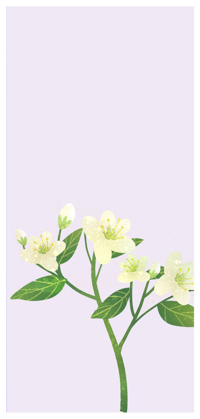 650x1361   Black And White Flower Cool Phone Wallpaper - Черно-белое аниме - 1080x1920 обои - teahub.io 