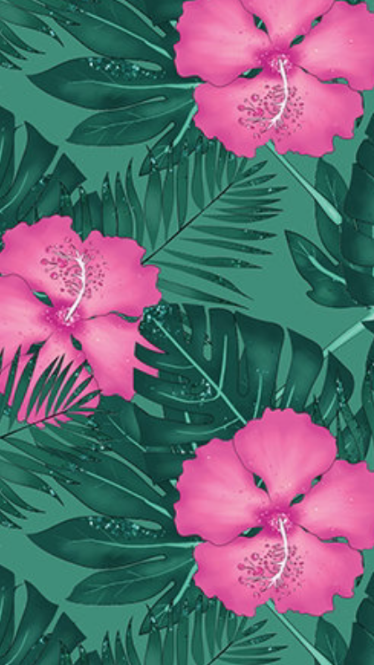 1242x2208  Hibiscus iPhone Wallpapers - Лучшие бесплатные фоны для iPhone из гибискуса - WallpaperAccess