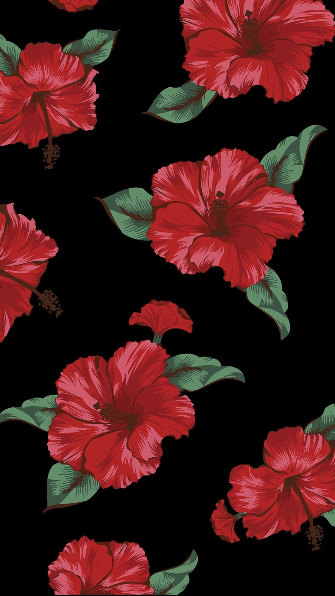 1125x2000   Последние абсолютно бесплатные фонды гибискуса Предложения Гибискус - тропические красоты… | Цветочные обои для телефона Цветочные фоновые обои Цветочные обои 