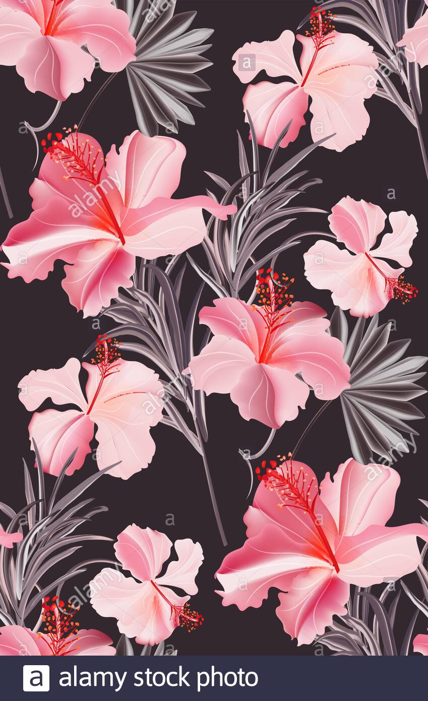 849x1390   Темно-розовые обои с тропическим цветочным узором из гибискуса. Красочная абстрактная форма летний цветок фон. Контрастная цветная иллюстрация текстуры в векторе Stock Vector Image  Art - Alamy
